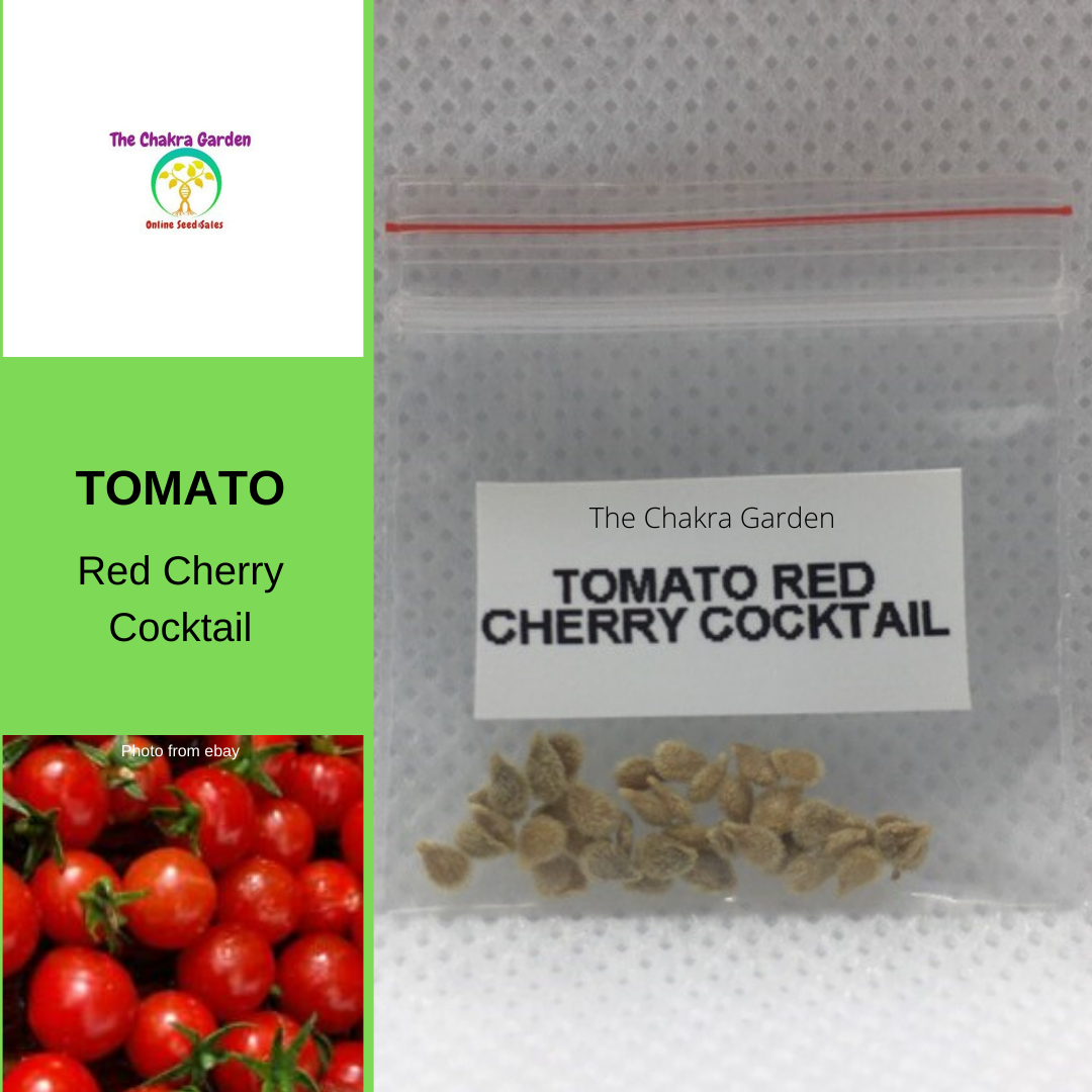 Tomato 'Red Cherry Cocktail'-Vegetable-25 seeds-Base Chakra