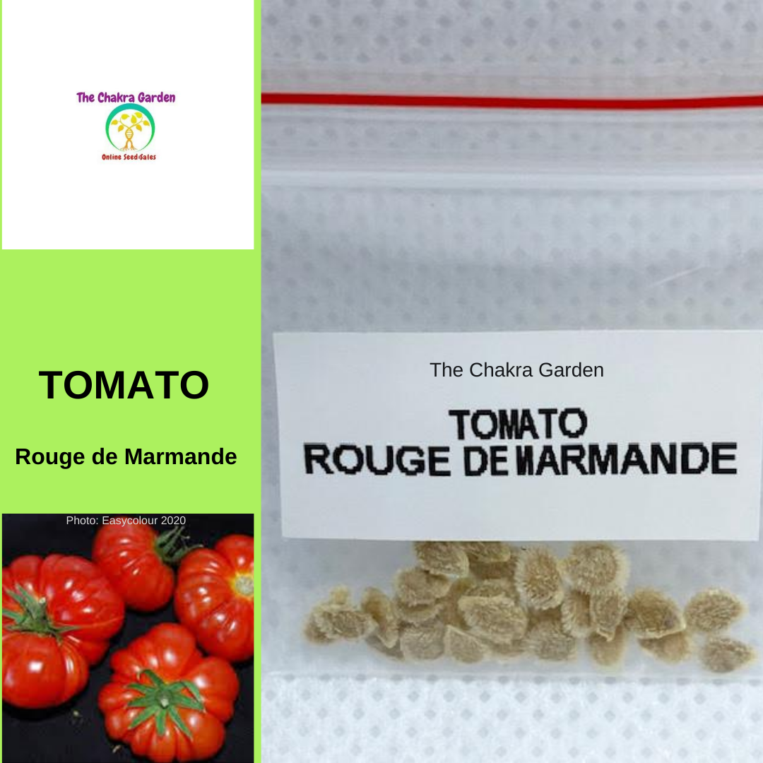 Tomato 'Rouge de Marmande'-EDIBLES-25 seeds-Base Chakra