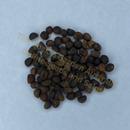 Photo of seeds: - June Parkin; Location: Sydney NSW, Australia; Date: 6OCT2023