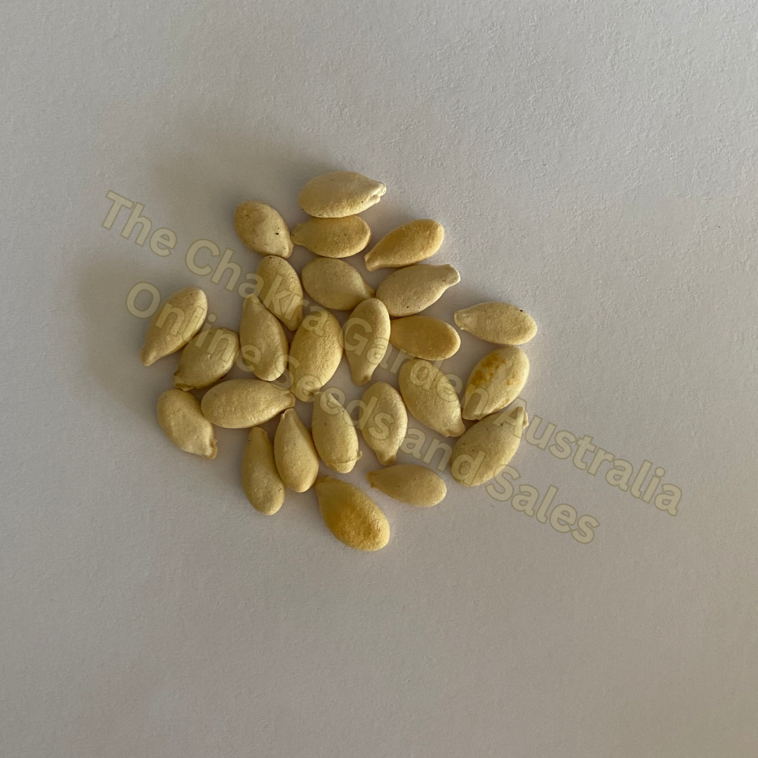 Photo of seeds: - June Parkin; Location: Sydney NSW, Australia; Date: 6OCT2023