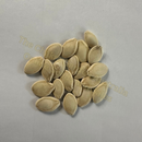 Photo of seeds: - June Parkin; Location: Sydney NSW, Australia; Date: 6OCT2023